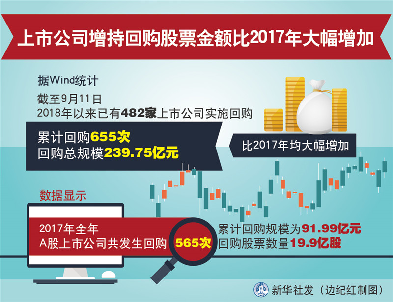 股票增持，策略、影響與考量因素，股票增持策略，影響因素與考量因素深度解析