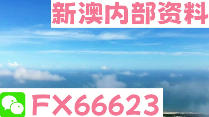 新澳2024正版資料免費(fèi)公開，探索與啟示，新澳2024正版資料探索與啟示，免費(fèi)公開內(nèi)容揭秘