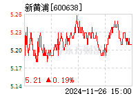 新黃浦600638最新消息，揭秘企業(yè)發(fā)展動態(tài)與行業(yè)前景，新黃浦600638最新消息揭秘，企業(yè)發(fā)展動態(tài)與行業(yè)前景展望