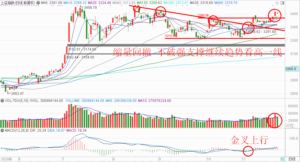 第5772頁