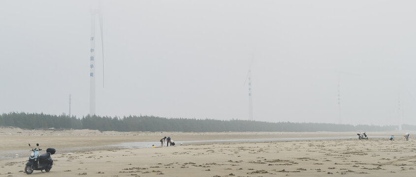 湛江南三島最新新聞報道，湛江南三島最新新聞動態速遞