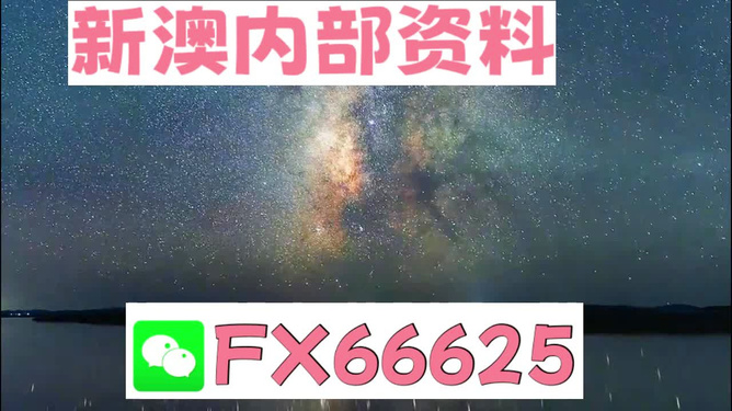 新澳天天彩正版免費(fèi)資料,動(dòng)態(tài)解析詞匯_KP26.304