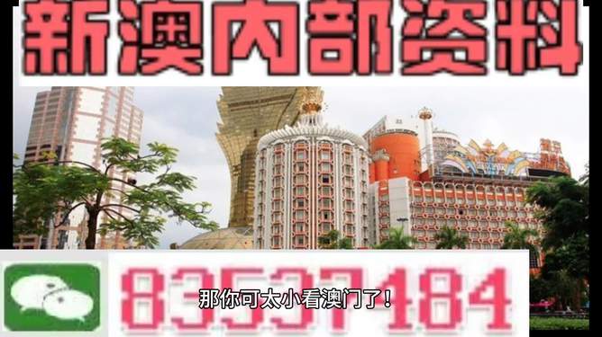 澳門內(nèi)部資料精準大全2023——警惕違法犯罪風險，澳門內(nèi)部資料精準大全背后的風險，警惕違法犯罪威脅 2023年警惕篇