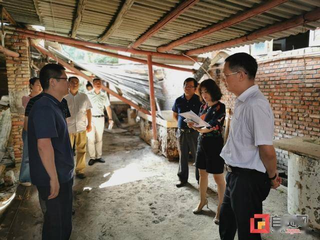 自貢環保檢查最新消息，持續推進環境保護工作，共建綠色家園，自貢環保檢查最新動態，持續推進環保工作，共建綠色家園