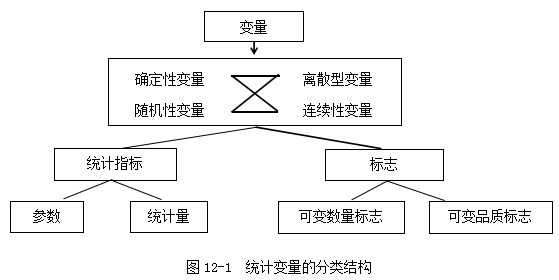 澳門江左梅郎免費資料,統計分析解釋定義_SHD55.618