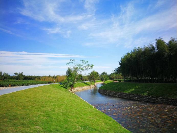 熊貓公園的最新消息，探索自然與文化的融合之旅，熊貓公園最新動態，自然與文化融合之旅探索