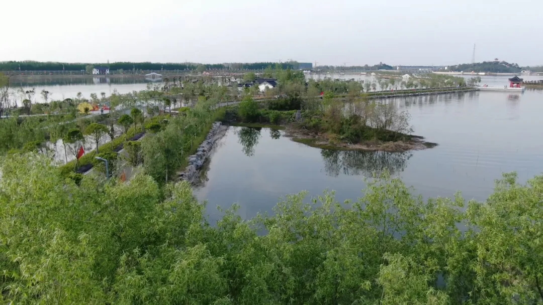 光山濕地公園最新消息，光山濕地公園最新動態報道