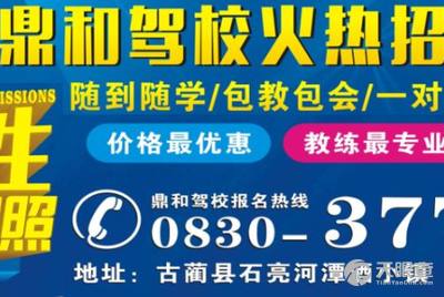 龍崗坑梓最新招聘司機信息，探索職業發展的無限可能，龍崗坑梓最新司機招聘信息，職業發展的無限機遇探索