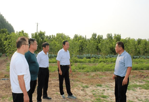 館陶合作社最新消息，推動農業現代化與地方經濟繁榮的新動力，館陶合作社最新動態，推動農業現代化與地方經濟繁榮的新引擎