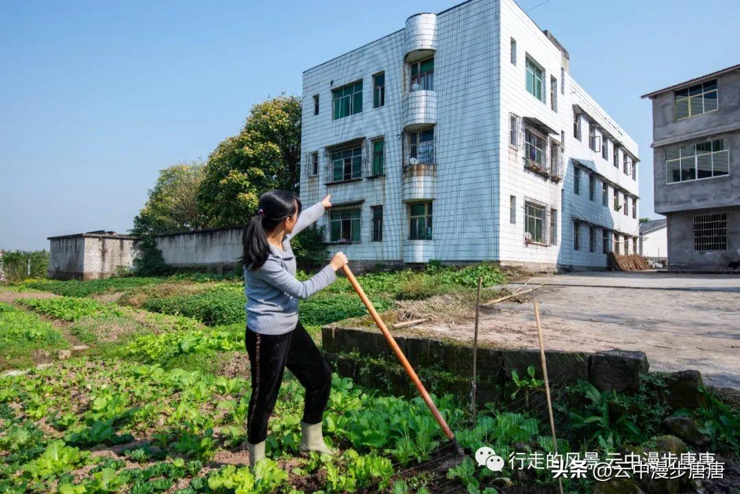 岳池縣羅渡鎮最新動態——鄉村振興與社區發展的步伐加快，岳池縣羅渡鎮鄉村振興與社區發展新動態