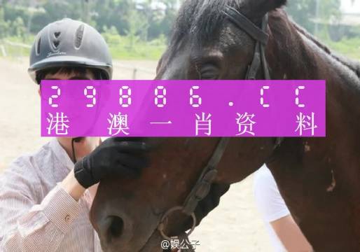 一肖一碼澳門,專家解答解釋定義_頂級(jí)版11.721