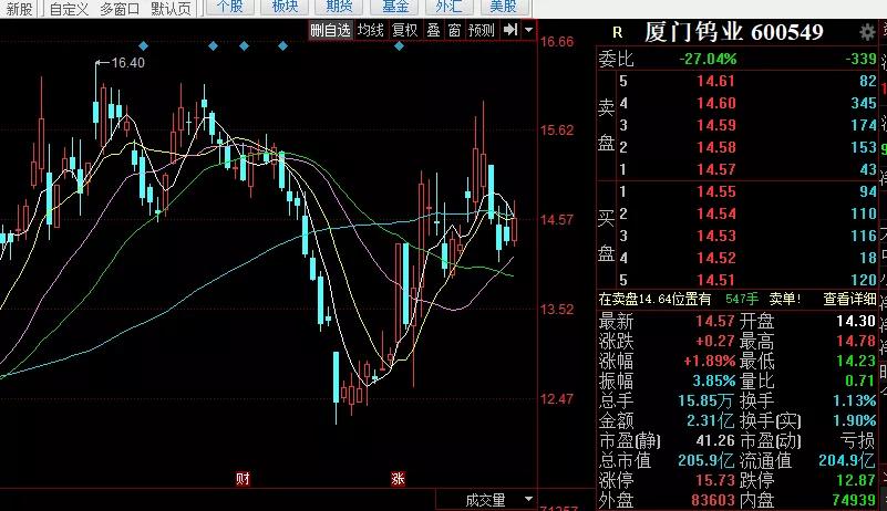 廈門鎢業股票最新消息深度解析，廈門鎢業股票最新消息全面解析