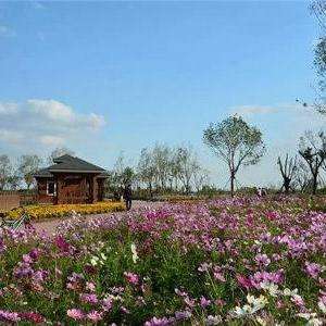 官港森林公園最新消息，官港森林公園最新動態報道