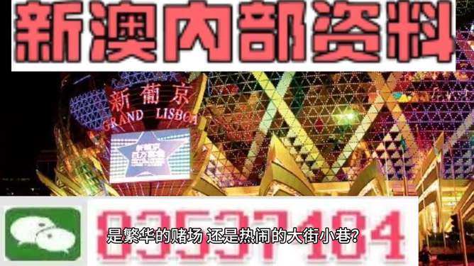 警惕新澳門精準資料大全管家婆料——揭示其背后的犯罪風險，警惕新澳門精準資料大全管家婆料背后的犯罪風險，揭露真相！