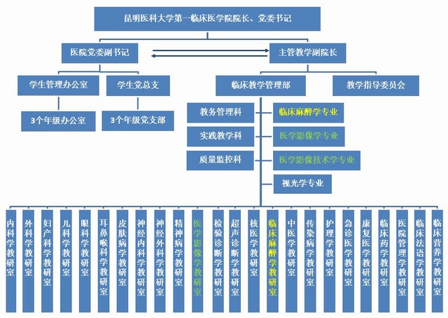 中航油集團組織架構探析，中航油集團組織架構深度探析