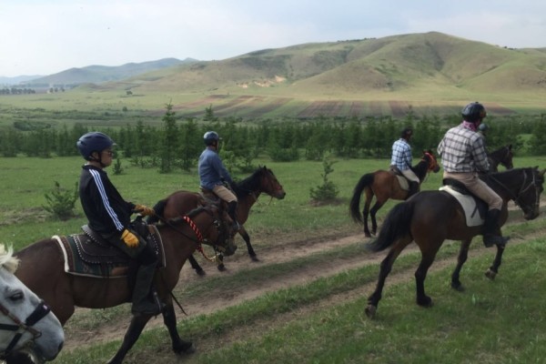 警惕虛假博彩陷阱，切勿參與非法賭博活動——以今晚澳門開特馬四不像為例，警惕虛假博彩陷阱，澳門開特馬四不像背后的風險與警示