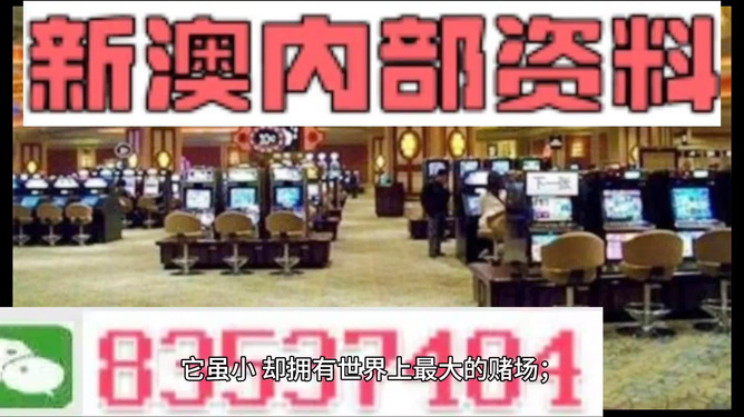 澳門正版精準免費大全——揭示違法犯罪問題，澳門正版精準免費大全揭秘違法犯罪問題