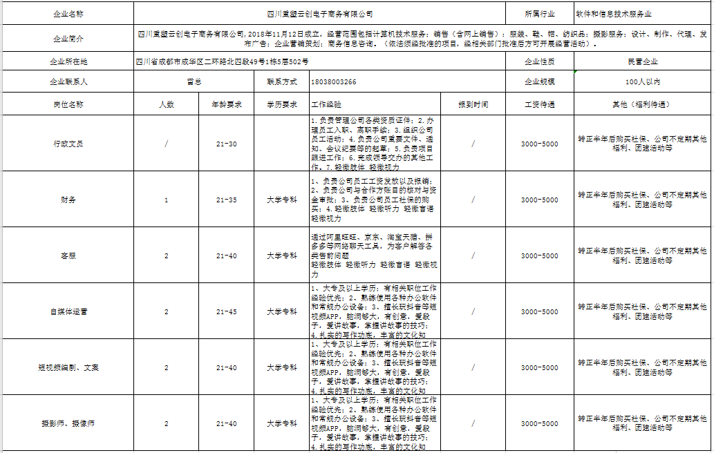 成都緯創資通的業務與角色，探究其在現代產業中的定位與發展，成都緯創資通的定位與發展，現代產業中的核心角色與業務探究