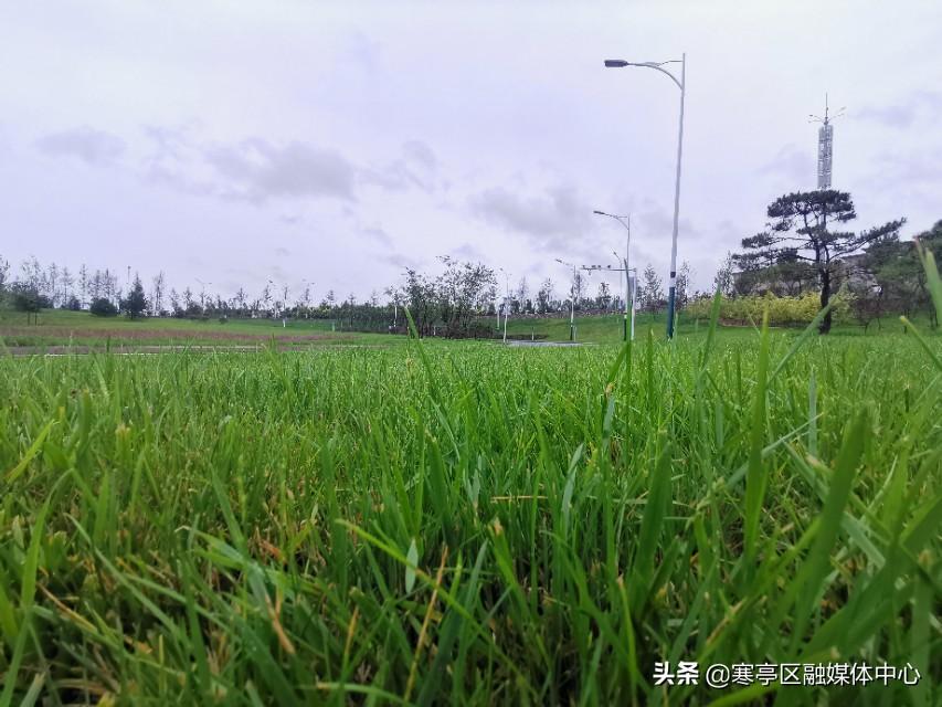 最新降雨量分析與預測，全球各地的降雨趨勢及其影響，全球最新降雨量分析與預測，降雨趨勢及其全球影響概述