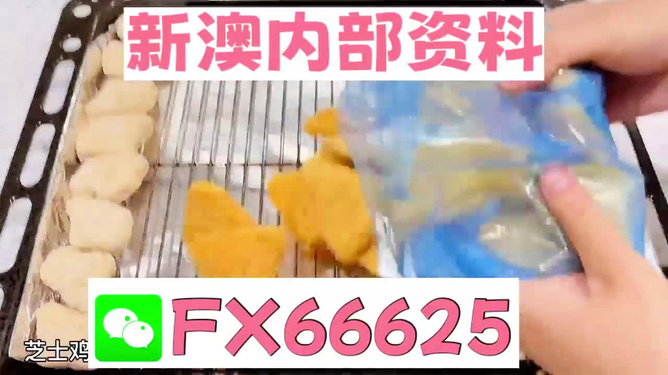 新奧長期免費(fèi)資料大全，探索與收獲，新奧長期免費(fèi)資料大全，探索之旅與收獲的時刻