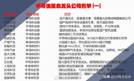 全球半導體芯片龍頭十大排名解析，全球半導體芯片龍頭企業十大排名解析