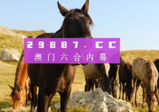 澳門管家婆資料正版大全——探索2023年的全新視界，澳門正版管家婆資料大全，2023年全新視界探索