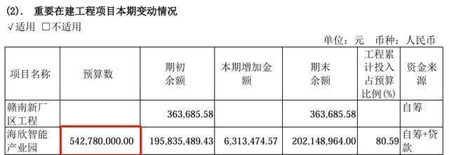 海欣股份目標價30元的投資邏輯與市場展望，海欣股份目標價30元，投資邏輯與市場展望分析