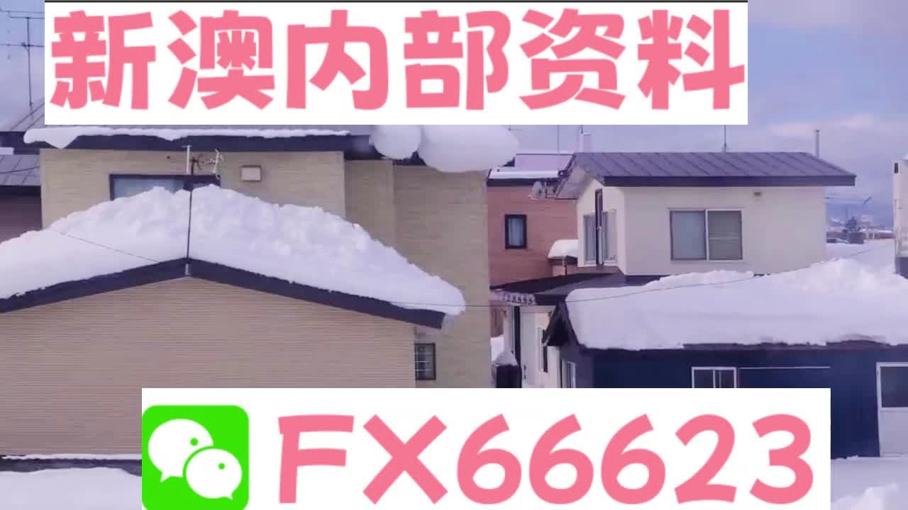 新奧天天精準(zhǔn)資料大全，深度解析與實(shí)際應(yīng)用，新奧天天精準(zhǔn)資料大全，深度解析及實(shí)際應(yīng)用指南