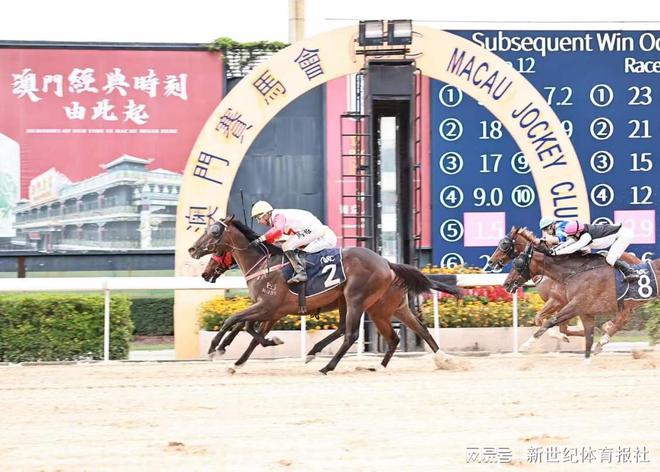 澳門賽馬會，歷史、文化與競技的交融，澳門賽馬會，歷史、文化與競技的璀璨交融