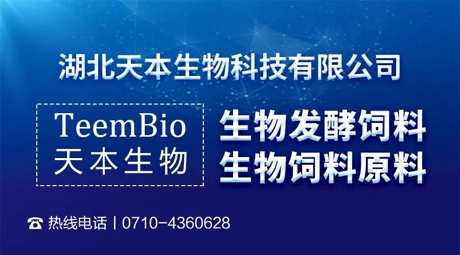 掌握最新情況，與時俱進的關鍵所在，掌握最新情況，與時俱進的關鍵所在