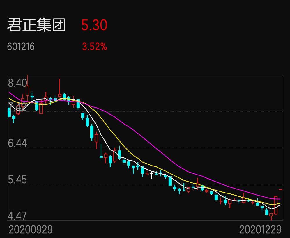 君正集團最賺錢的子公司，揭秘其成功之道與盈利秘訣，君正集團盈利巨頭揭秘，子公司的成功之道與盈利秘訣