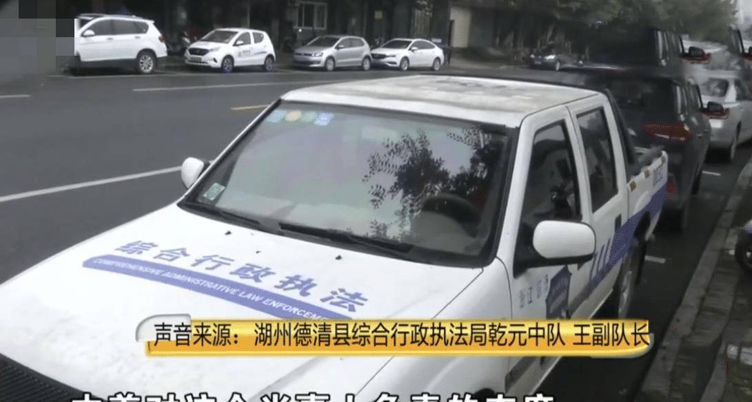 一小熊貓躺在路中間疑被車撞，目擊者的哀愁與生態保護的呼喚，小熊貓遭遇車禍現場目擊者的哀愁與生態保護意識的呼喚