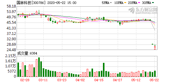 國林科技，引領行業創新，塑造科技未來，國林科技，行業創新先鋒，塑造科技未來之路