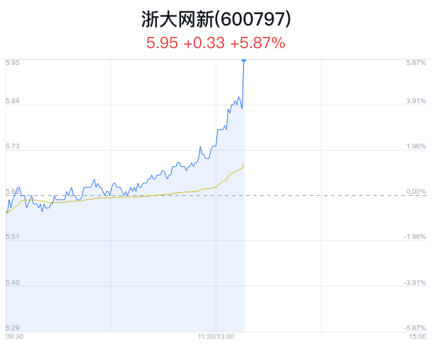 浙大網(wǎng)新股價上漲2.99%，解析背后的因素與前景展望，浙大網(wǎng)新股價上漲2.99%，因素解析與未來前景展望