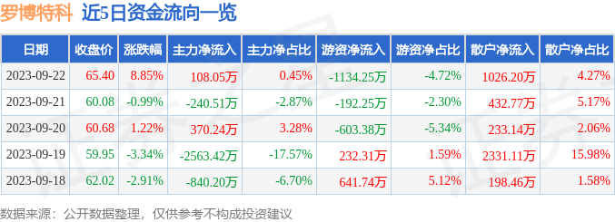 羅博特科，未來能否成為十倍牛股？，羅博特科，未來能否成為十倍增長潛力股？