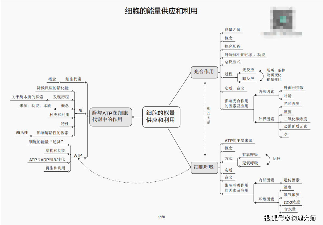 澳門一肖三碼必中特，揭示背后的風險與挑戰，澳門一肖三碼必中特背后的風險與挑戰，揭示違法犯罪問題真相