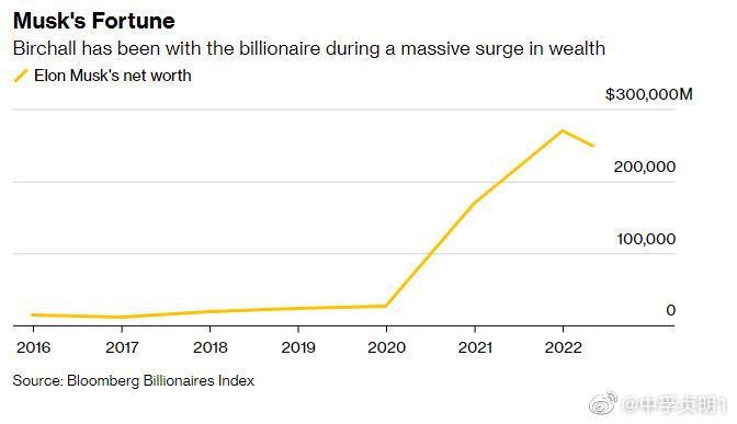 馬斯克財富增長1190億美元，探索新財富時代的引領者，馬斯克引領新財富時代，財富增長達1190億美元
