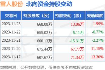 雪人股份目標價2024年，深度分析與展望，雪人股份2024年目標價深度分析與展望