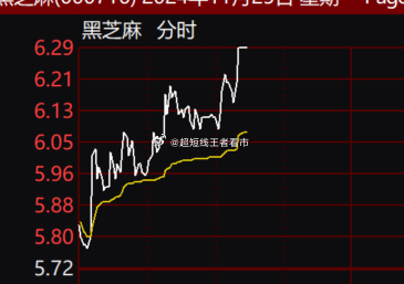 黑芝麻，在市場的波動中展現強勁增長態勢——盤中漲幅達5%的啟示，黑芝麻市場增長強勁，盤中漲幅達5%的洞察