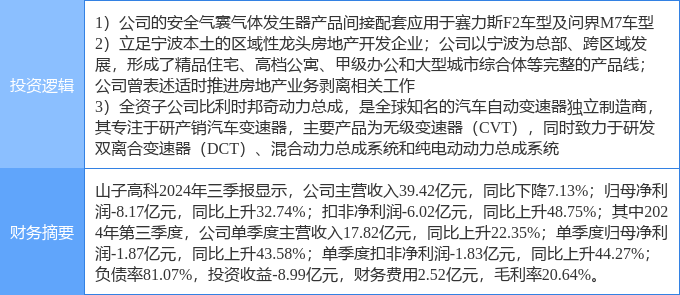 山子高科未來潛力，探索與前瞻，山子高科未來潛力展望與前瞻探索