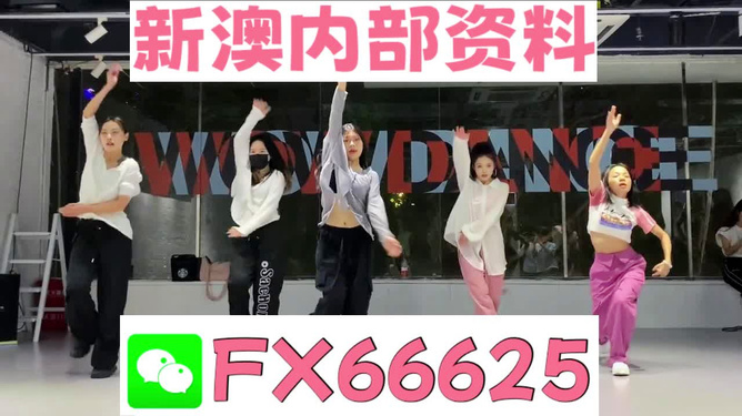 2024年新奧天天精準(zhǔn)資料大全詳解，2024年新奧天天精準(zhǔn)資料大全詳解手冊(cè)