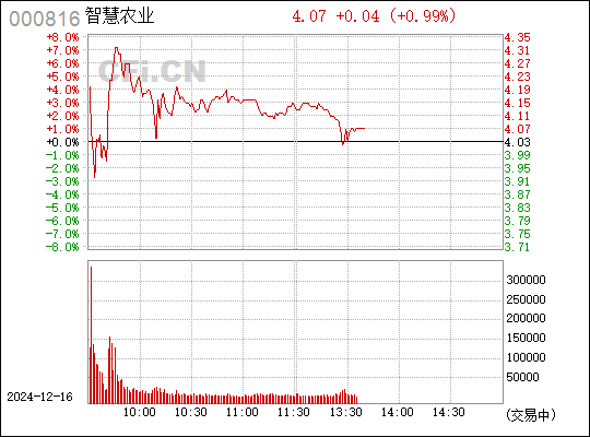 智慧農業(yè)新篇章，重組之路與未來展望 ——以智慧農業(yè)股份有限公司（股票代碼，000816）為例，智慧農業(yè)重組之路與未來展望，以智慧農業(yè)股份有限公司為例