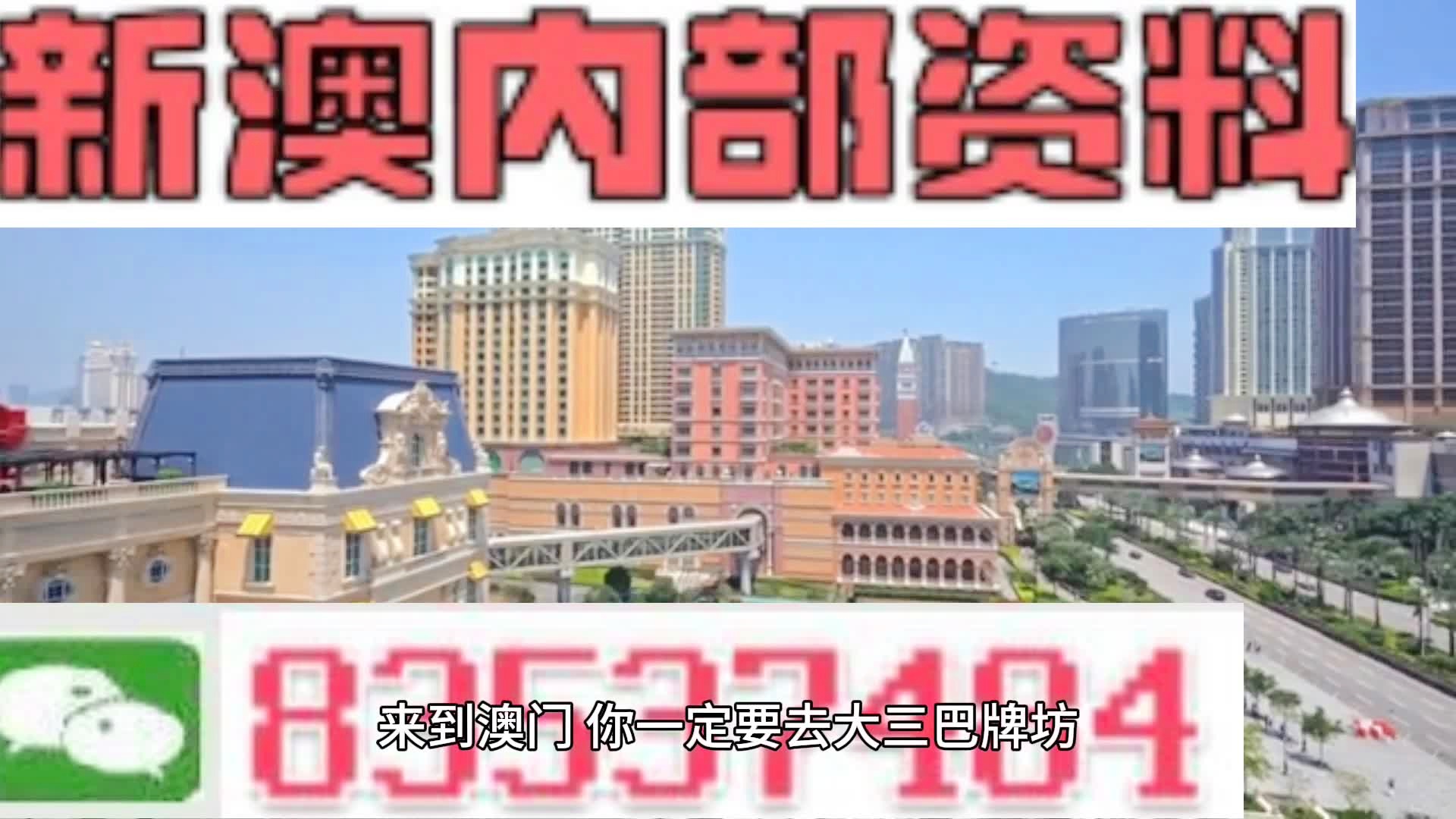 關于新澳門資料雞號的探討與警示——警惕違法犯罪行為，澳門雞號探討，警惕違法犯罪行為警示揭秘