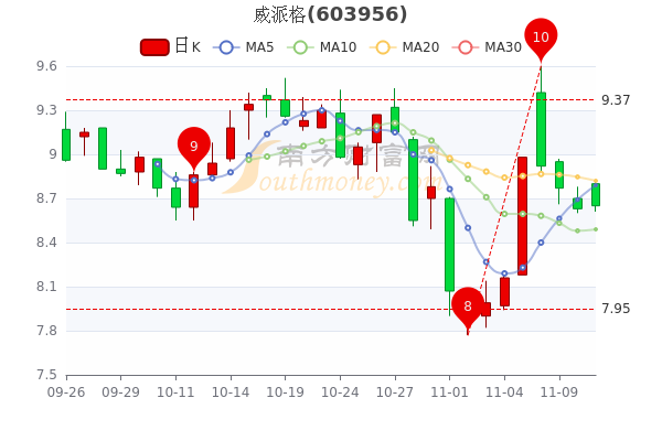 威派格9.88%最新消息全面解析，威派格最新動態解析，9.88%消息一覽無余