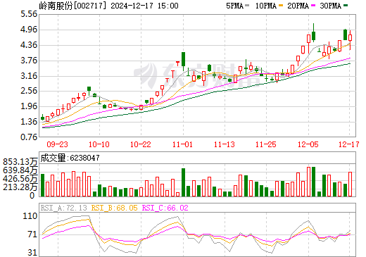 嶺南股份的麻煩事，挑戰與機遇并存，嶺南股份面臨挑戰與機遇并存的發展局面