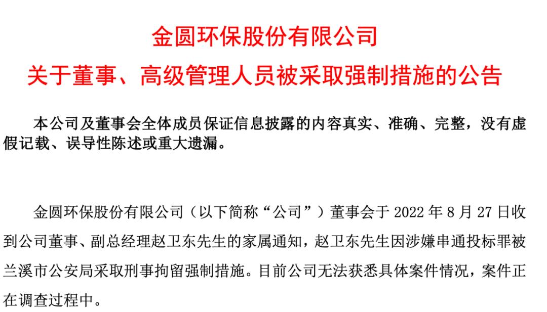 實(shí)控人被刑拘背后的股票大漲現(xiàn)象深度解析，實(shí)控人被刑拘背后的股票大漲現(xiàn)象揭秘