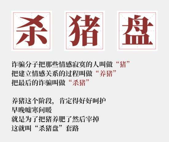 最新殺豬盤照片揭示，金融欺詐背后的真相與警示，金融欺詐背后的真相揭示，殺豬盤最新照片警示與警示信息