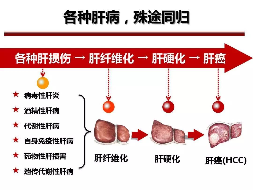 最新肝炎癥狀及其影響，理解、預防與應對，最新肝炎癥狀、影響、預防與應對策略解析