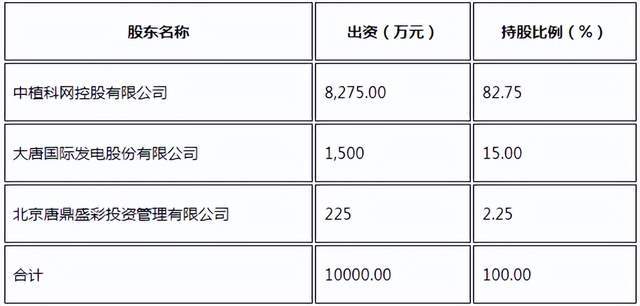 大唐集團存在大額關注類擔保情況，分析與探討，大唐集團大額關注類擔保情況深度分析與探討