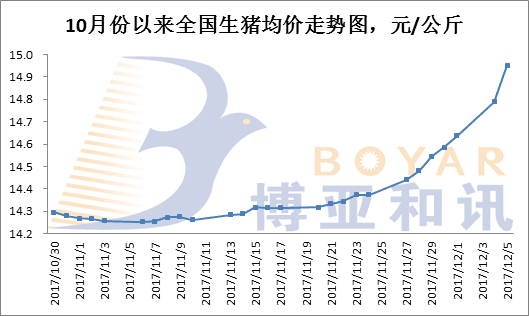 全國豬價易跌難漲現象分析，全國豬價易跌難漲現象深度解析